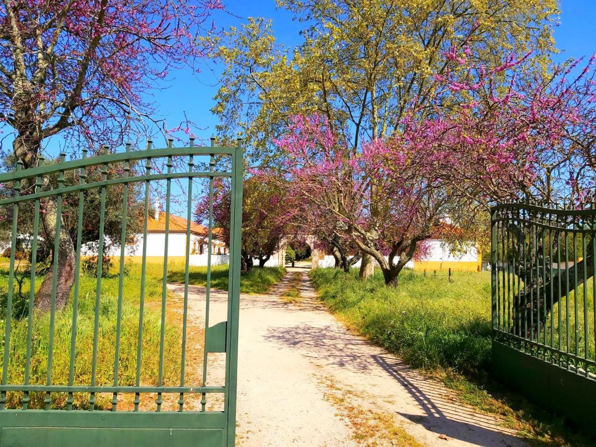 Casas Herdade Do Convento Da Serra Almeirim Exterior photo