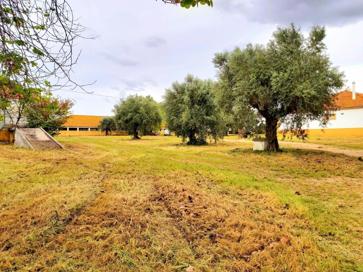 Casas Herdade Do Convento Da Serra Almeirim Exterior photo