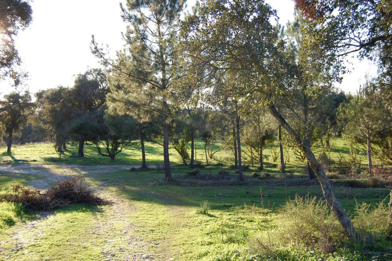 Casas Herdade Do Convento Da Serra Almeirim Exterior photo