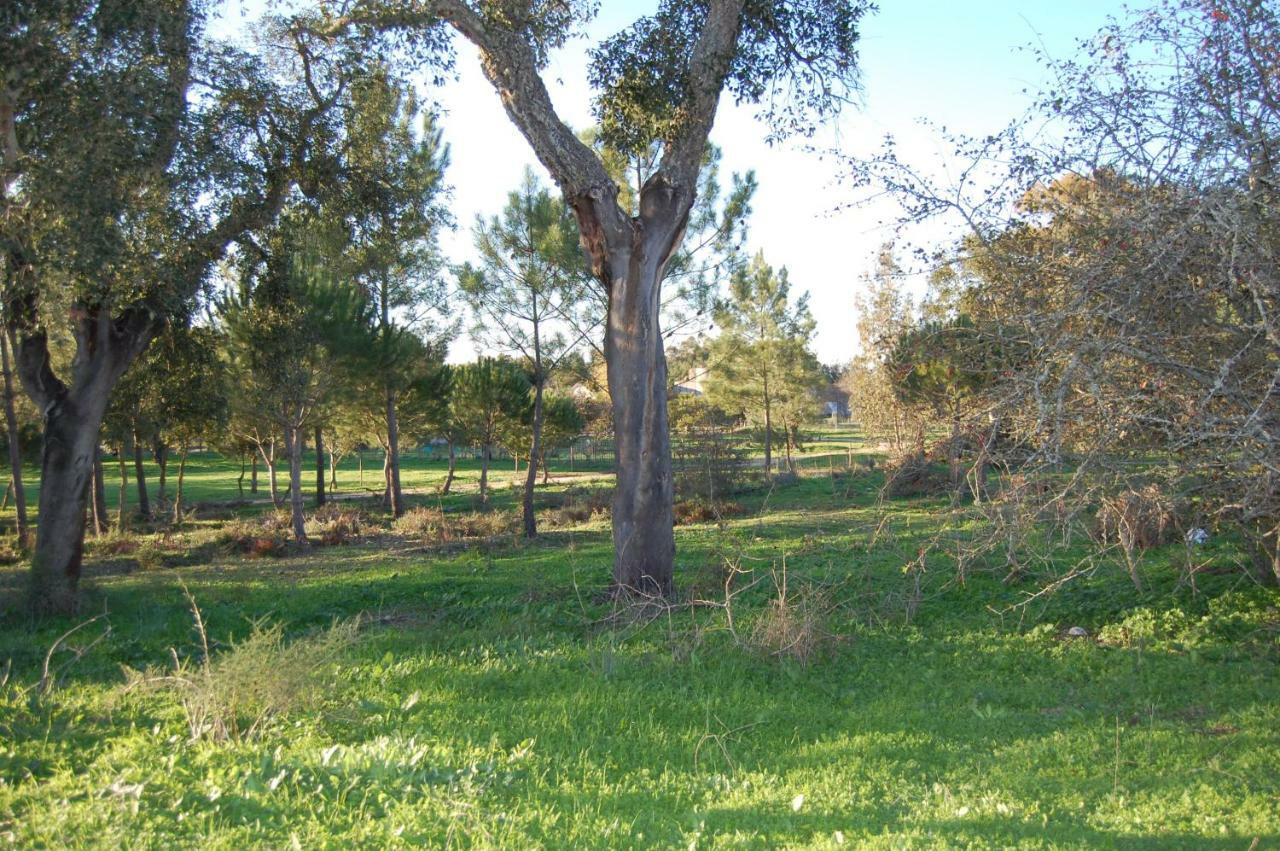 Casas Herdade Do Convento Da Serra Almeirim Exterior photo